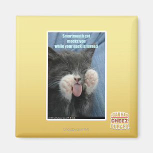 Imã Gato de Smartmouth