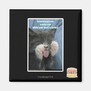 Imã Gato de smartmouth