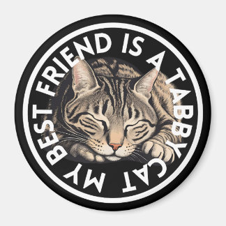 Imã Gato de Tabby do Melhor Amigo