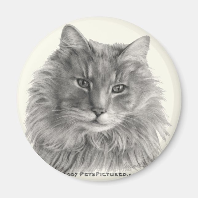 Imã Gato De TeeGee, Cinzas De Cabelo Longo (Frente)