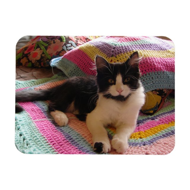 Ímã Gato de Tuxedo com Bonito placa de tapete crochet (Horizontal)