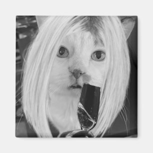 Imã Gato de vinho