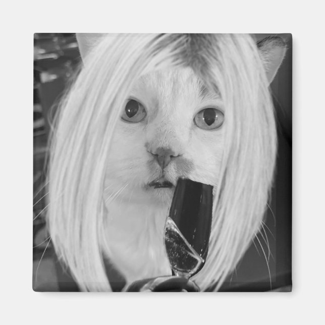 Imã Gato de vinho (Frente)