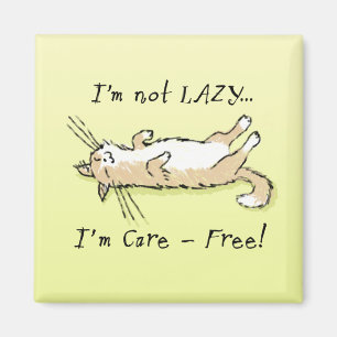 Imã Gato despreocupado