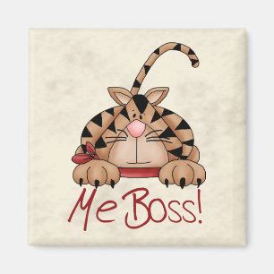 Imã Gato do chefe