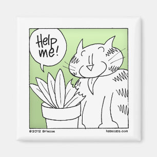 Imã Gato do comedor da planta