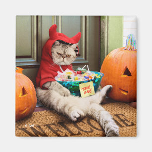 Imã Gato do Diabo Cranky