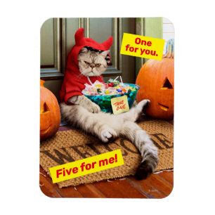 Ímã Gato do Diabo Cranky