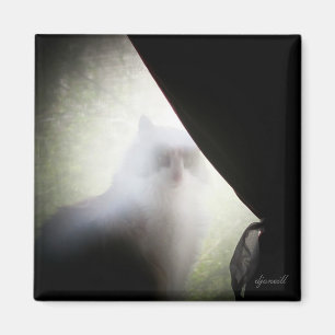 Imã Gato do fantasma da chita pelo djoneill