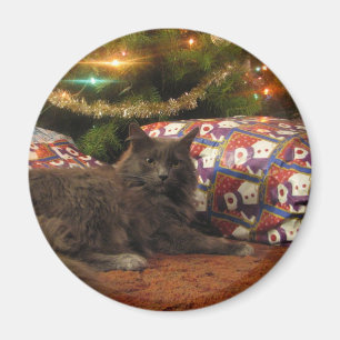 Imã Gato do Natal