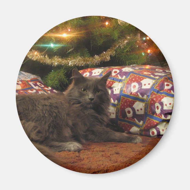 Imã Gato do Natal (Frente)