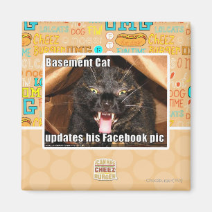 Imã Gato do porão
