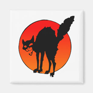 Imã Gato do sindicalista