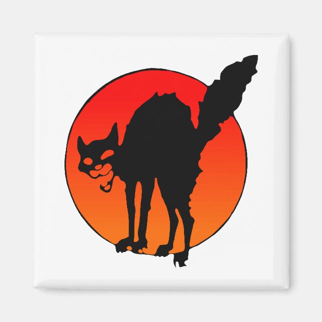 Imã Gato do sindicalista (Frente)