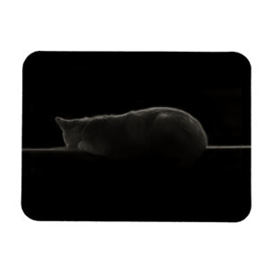 Ímã Gato do sono da silhueta