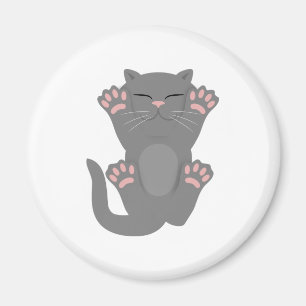 Imã Gato dormindo