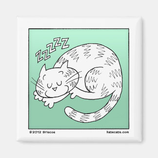 Imã Gato Dormindo