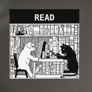 Imã Gato e cão na biblioteca
