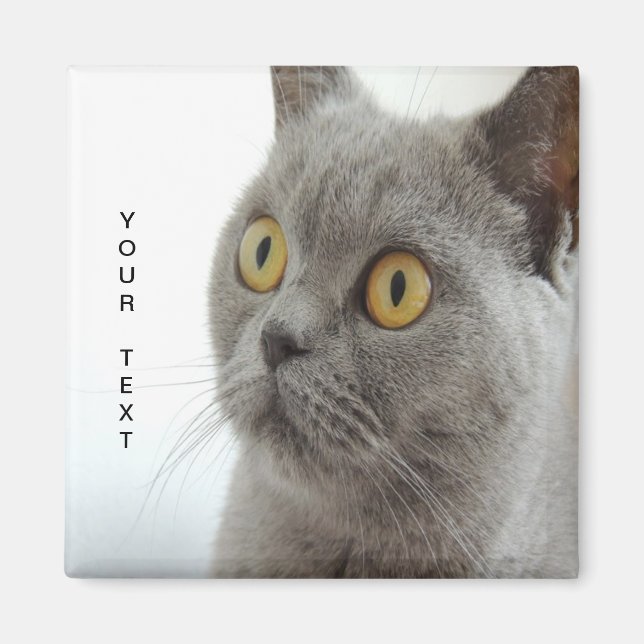 Imã Gato é fofo (Frente)