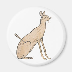 Imã Gato Egípcio