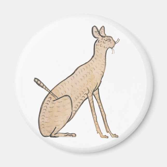 Imã Gato Egípcio (Frente)