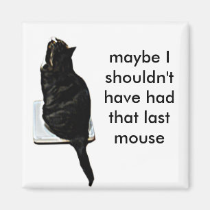 Imã Gato em escalas