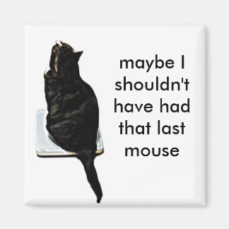 Imã Gato em escalas