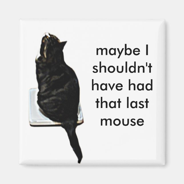 Imã Gato em escalas (Frente)