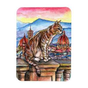 Ímã Gato em Florença