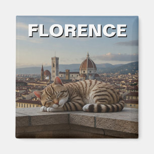 Imã Gato em Florença Itália Duomo Viagem