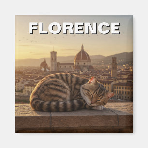 Imã Gato em Florença Itália Duomo Viagem