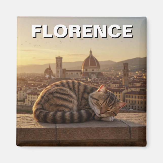Imã Gato em Florença Itália Duomo Viagem (Frente)