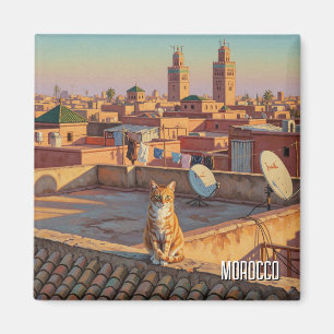 Imã Gato em Marraquexe Viagem no Marrocos