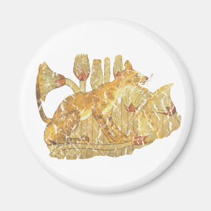 Imã gato em pântano