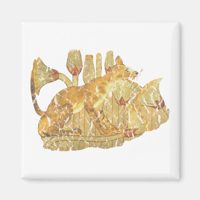 Imã gato em pântano (Frente)