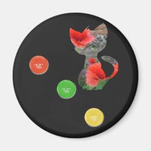 Imã Gato em schwarz-bunt