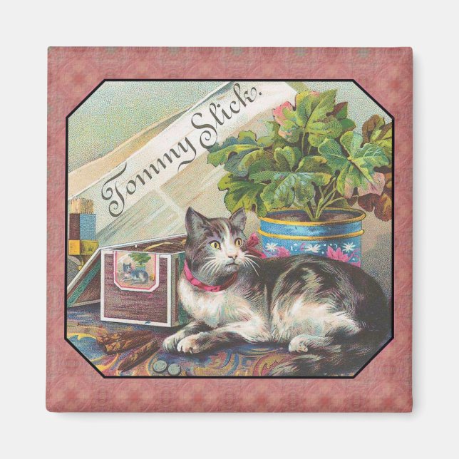 Imã Gato em um Íman de Mesa (Frente)