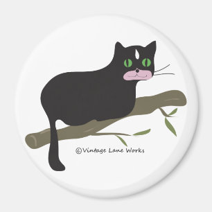 Imã Gato em um ramo