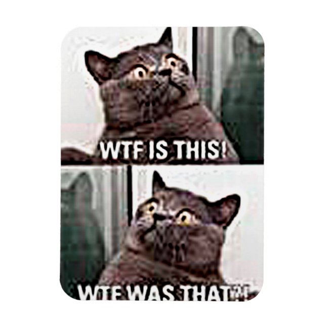 Ímã Gato Engraçado (Vertical)