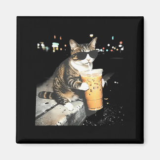 Imã Gato engraçado bebendo café gelado