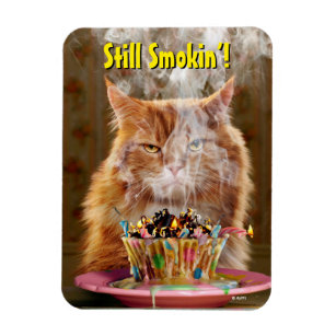 Ímã Gato Engraçado Com Cupcake De Aniversário Derretid