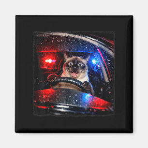 Imã Gato Engraçado Dirigindo Perseguição Policial Meme