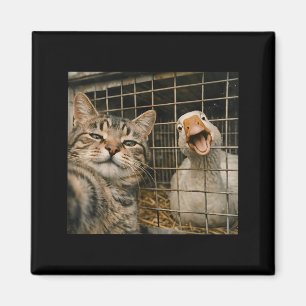 Imã Gato engraçado e selfie de ganso amizade estranha