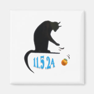 Imã Gato Engraçado Espetando Laranja Na Mesa Da Eleiçã