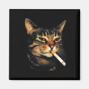 Imã Gato Engraçado Fumando Cigarro Meme Gatinho Idiota