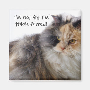 Imã Gato Engraçado Não É Gordo! Forrado espesso