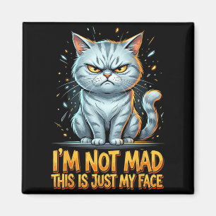 Imã Gato Engraçado Não Estou Bravo, Este é Apenas o Me