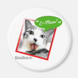 Imã gato esperto