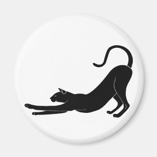 Imã Gato estendido