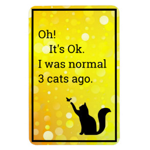 Ímã gato eu era normal
